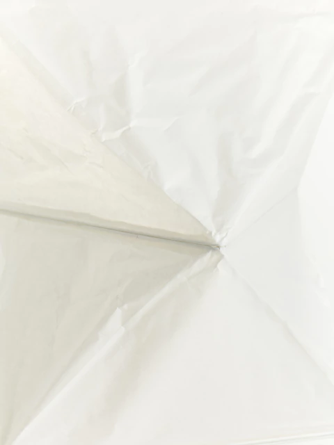 hikari2312_79314-e9ab9749c16f41060917670323709479-480-0.webp